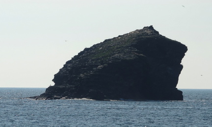 Rock