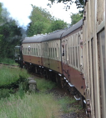 Along the train