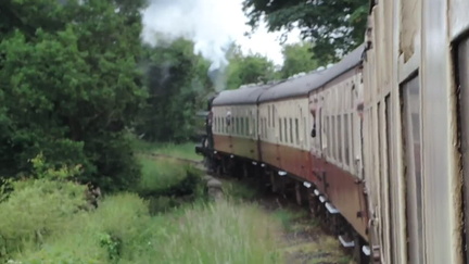 Along the train