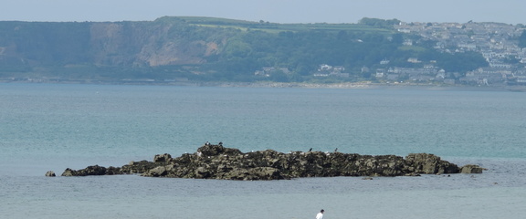 Rocks
