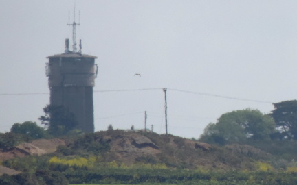 Tower