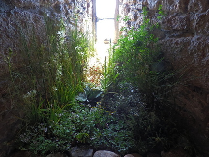 Indoor garden