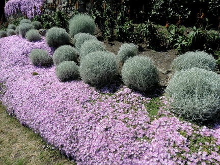 Flower beds