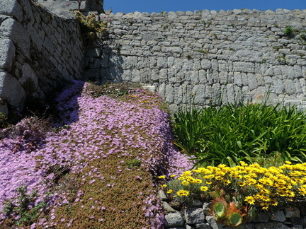 Up the wall