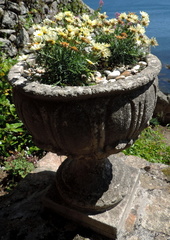 Flower pot