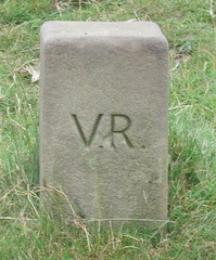 VR