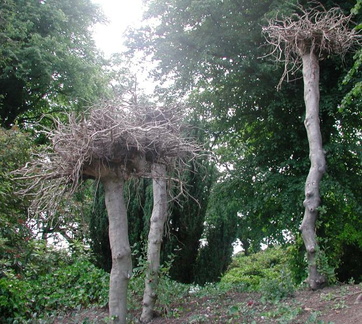 Upside-down trees