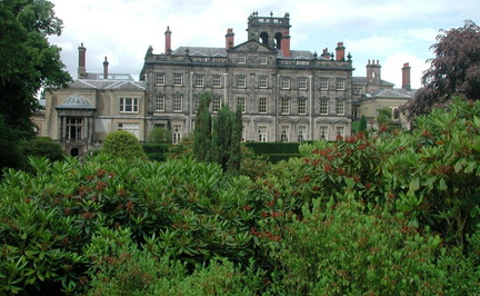 Hall behind the bushes