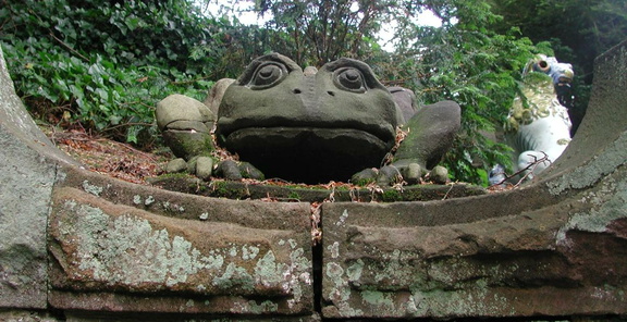 Frog