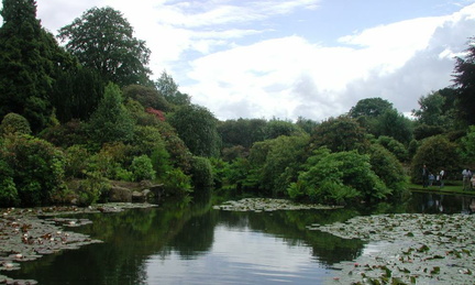 Pond
