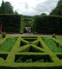 Hedges