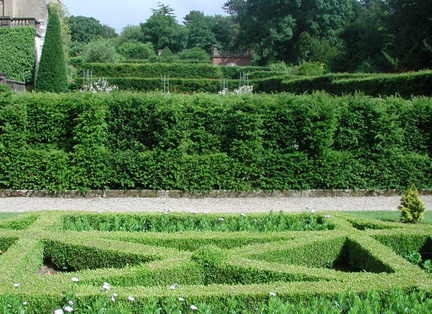 Hedges