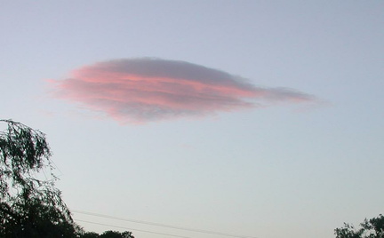 Cloud through trees