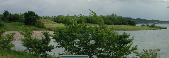 Island through bushes
