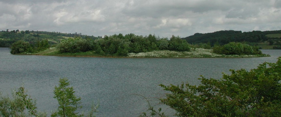 Island