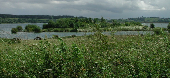 Island through trees