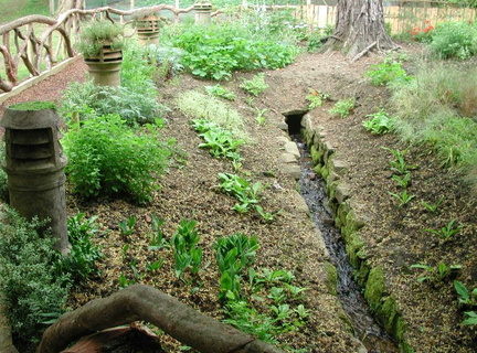 Stream