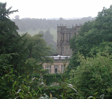 House through trees