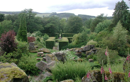 Rocks and hedges