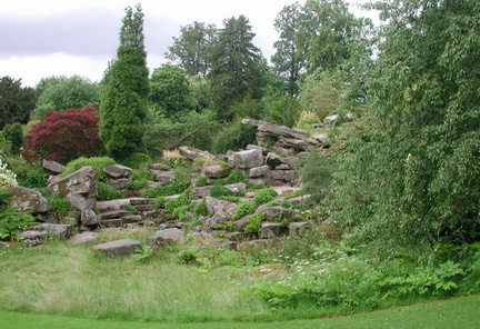 Stones and trees