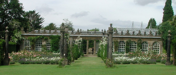 Rose garden