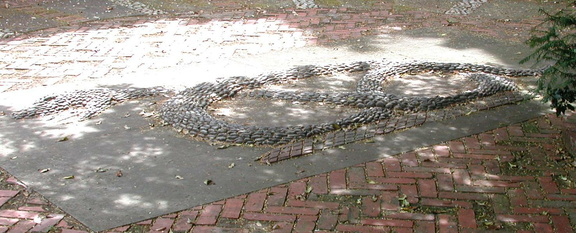 Snake in the ground
