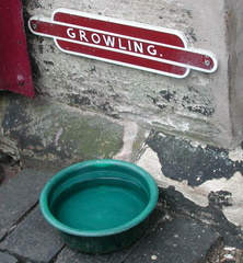 Growling