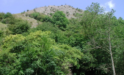 Rocky hill