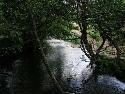 Up the stream