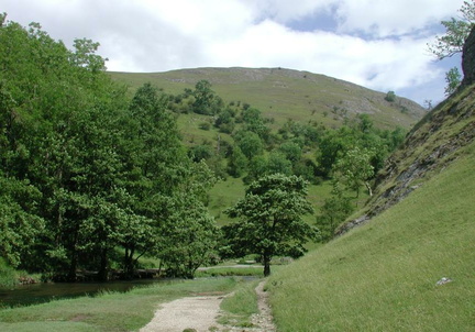 Up the valley