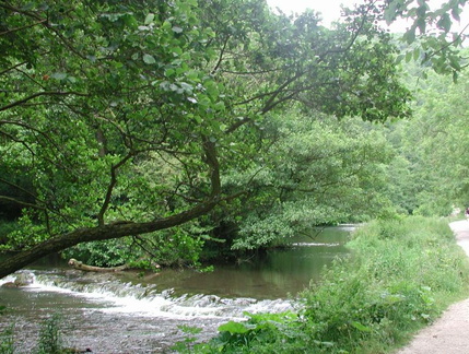 Weir