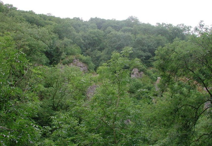 Rocks through the trees