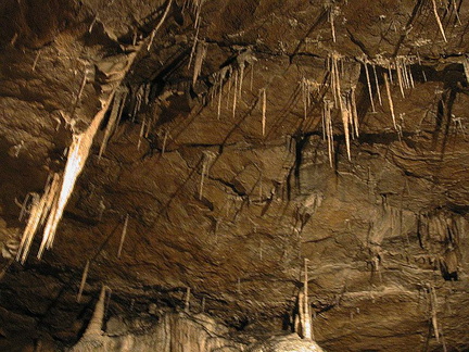 Ceiling