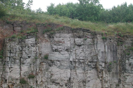 Cliff face