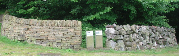 Wall Curve