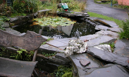 Pond