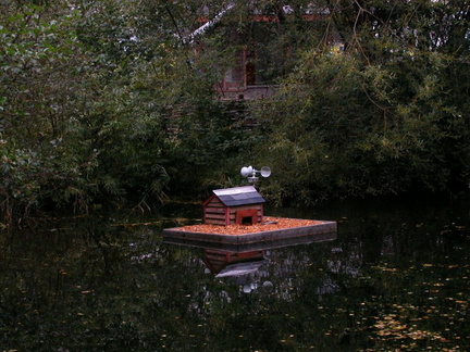 Pond