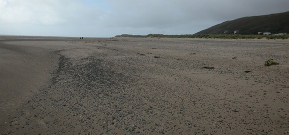 Along the beach