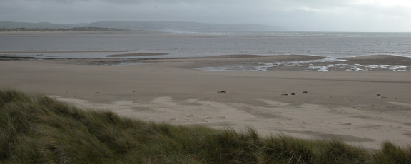 View from a dune