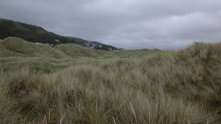 Dunes