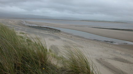 Over the beach