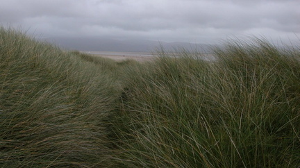 Over the estuary