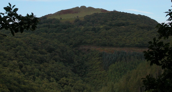 Peak