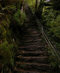 Jacob's Ladder