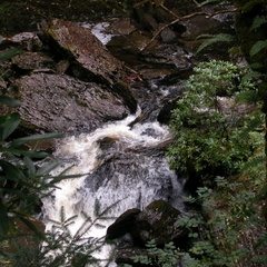 Waterfall