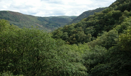 Valley