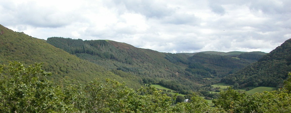 Woods and valley