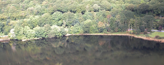 Reflection