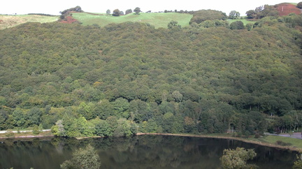 Hillside reflected