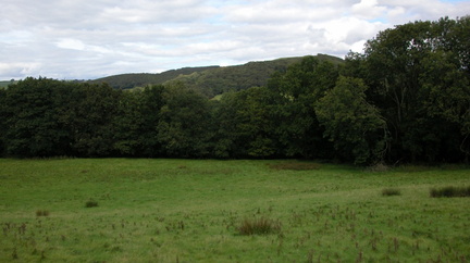 Field